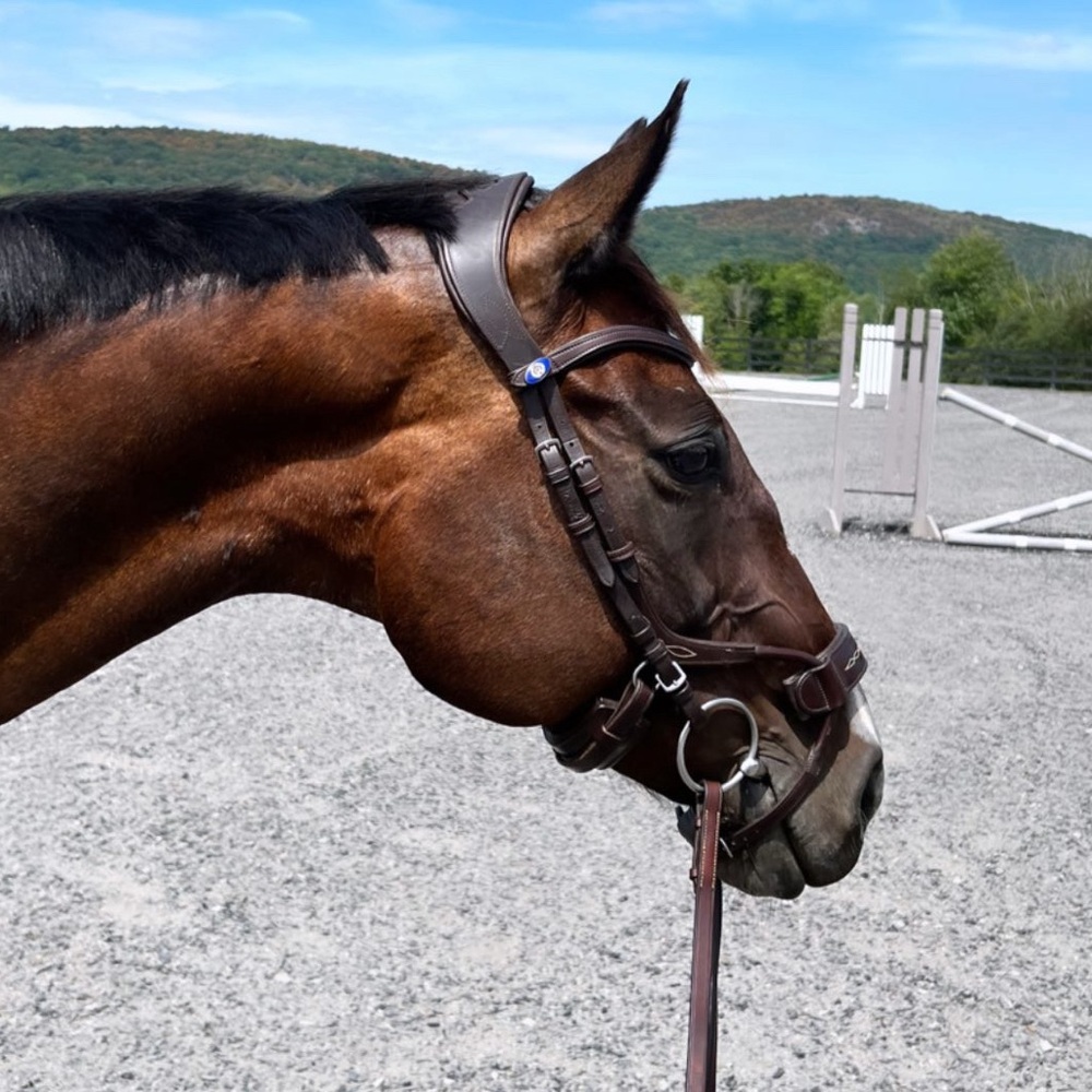 PS of Sweden High Jump Bridle - Brown, size 3